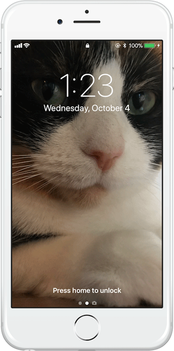CAT UNLOCKS IPHONE USING TOUCH ID on Make a GIF