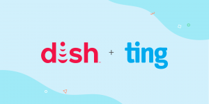 Banner image reads, DISH plus Ting