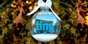 12 days of giveaways: a Christmas bulb that says "Ting"